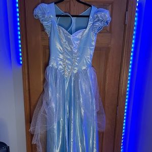 Cinderella Dress